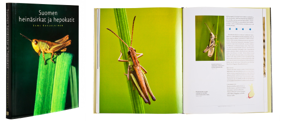 A cover and a spread of the book Suomen heinäsirkat ja hepokatit.