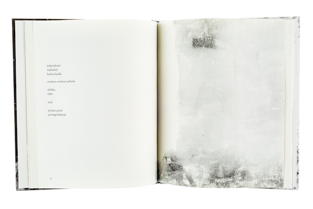 A cover and a spread of the book Hajo.
