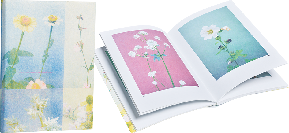 A cover and a spread of the book Almost All the Flowers in My Mother’s Garden<br />
.