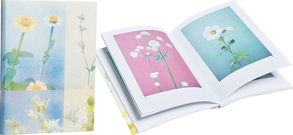 A cover and a spread of the book Almost All the Flowers in My Mother’s Garden<br />
.