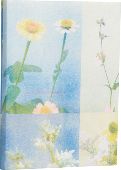 Ett omslag av boken Almost All the Flowers in My Mother’s Garden.